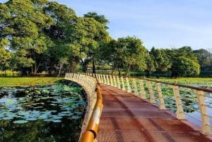 Cyberjaya Lake Garden