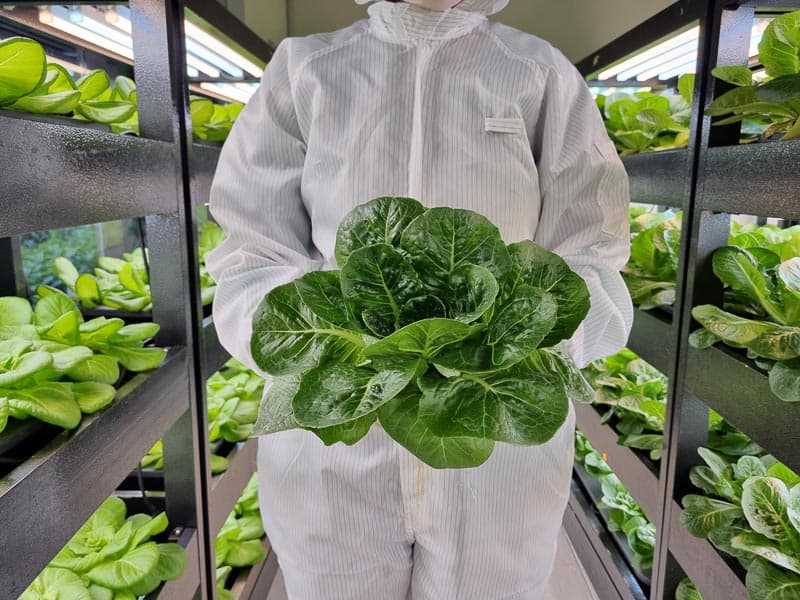 Read more about the article Sunway XFarms To Launch Largest Indoor Vertical Farm In Kuala Lumpur City Centre