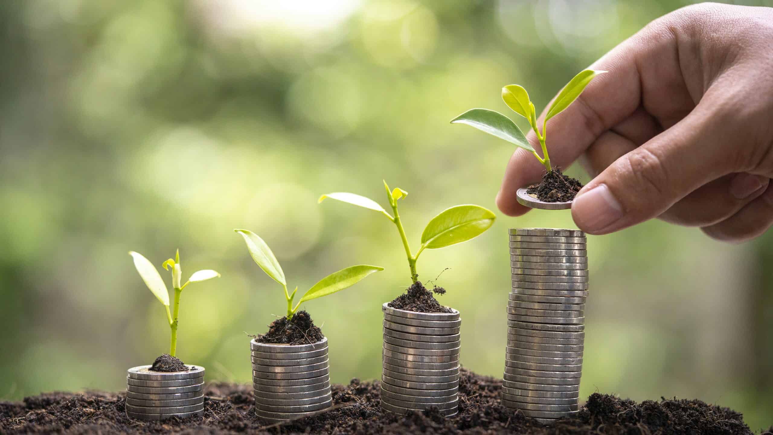 Banking on a Greener Tomorrow: Sustainable Finance in Southeast Asia