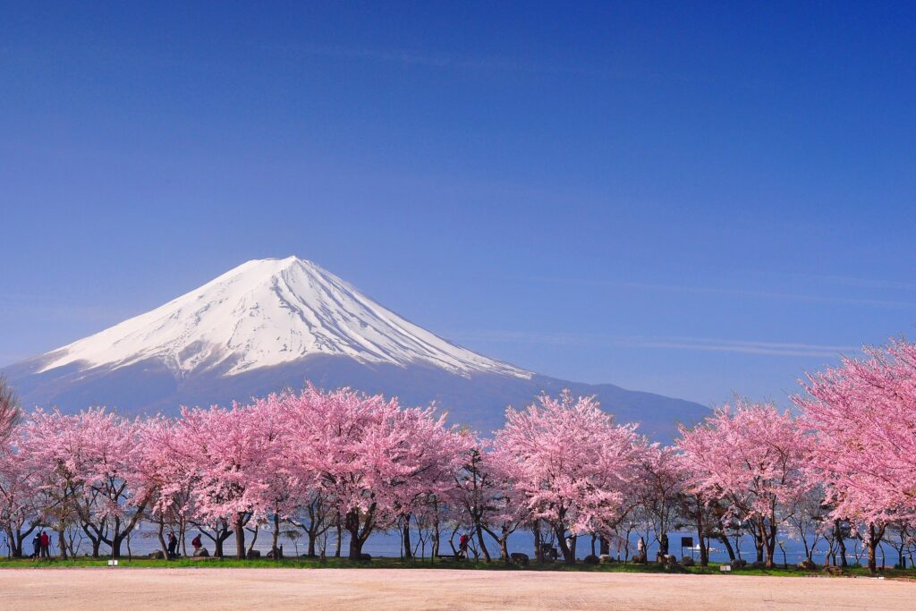 Malaysian Tourists Flock To Convenience Stores During Their Japanese Adventures