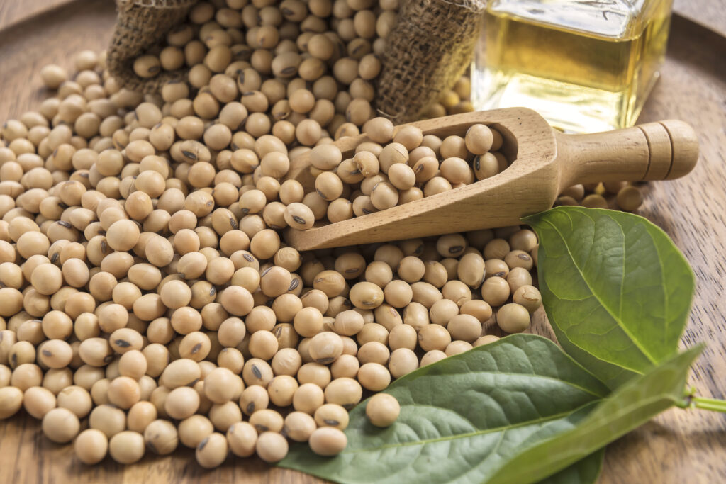 From Beans to Beverage: Embracing a Circular Approach to Whole Bean Soy Production